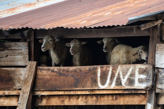 Master Your Online Safety: Top Cybersecurity Tips for Secure Internet Use